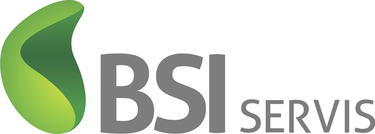 BSI servis
